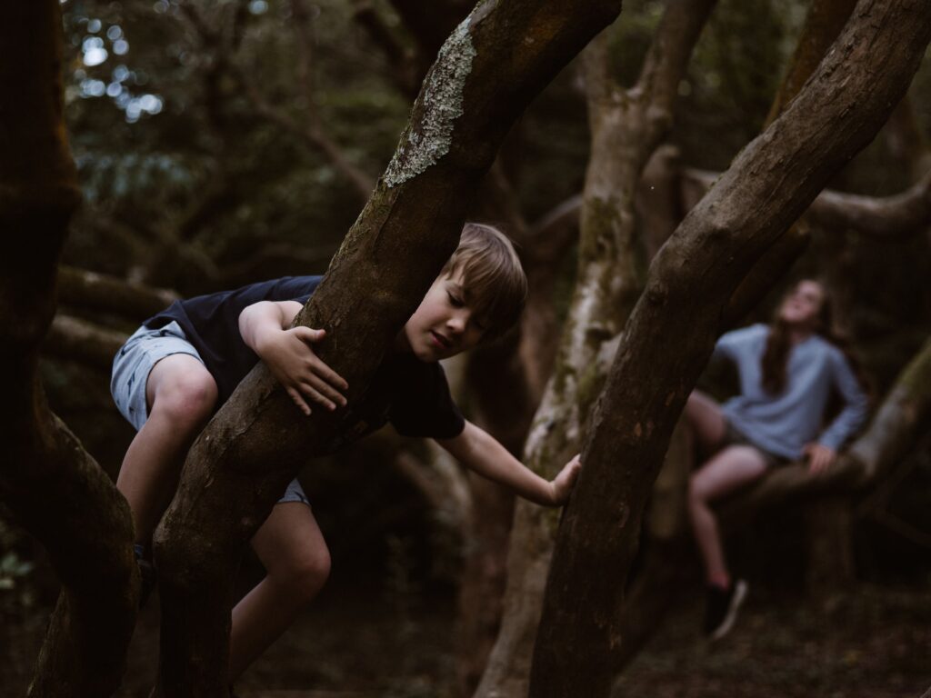 kids, a brother and a sister climbing trees